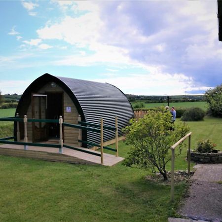 Shanagarry / Ballycotton Glamping Pod Cork Bagian luar foto